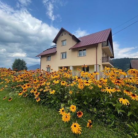 Pensiunea Gentiana Ватра-Дорней Экстерьер фото
